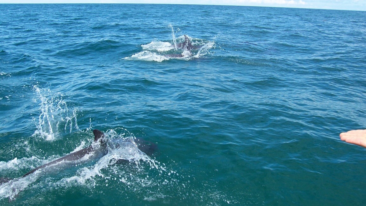 Photo of Outdoor in Saint-Martin de Brehal