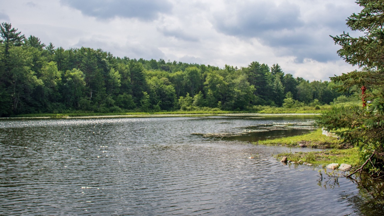 Photo of Outdoor in Cambridge