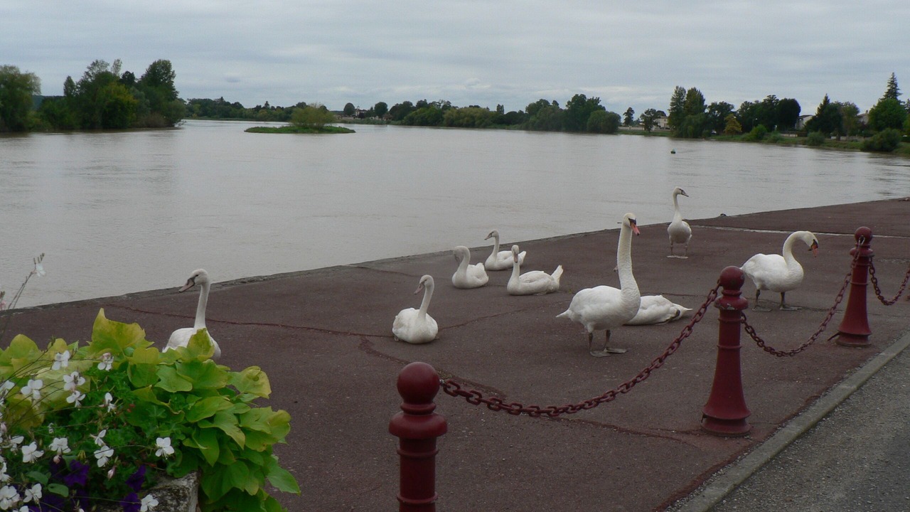 Photo of Others in Vignonet