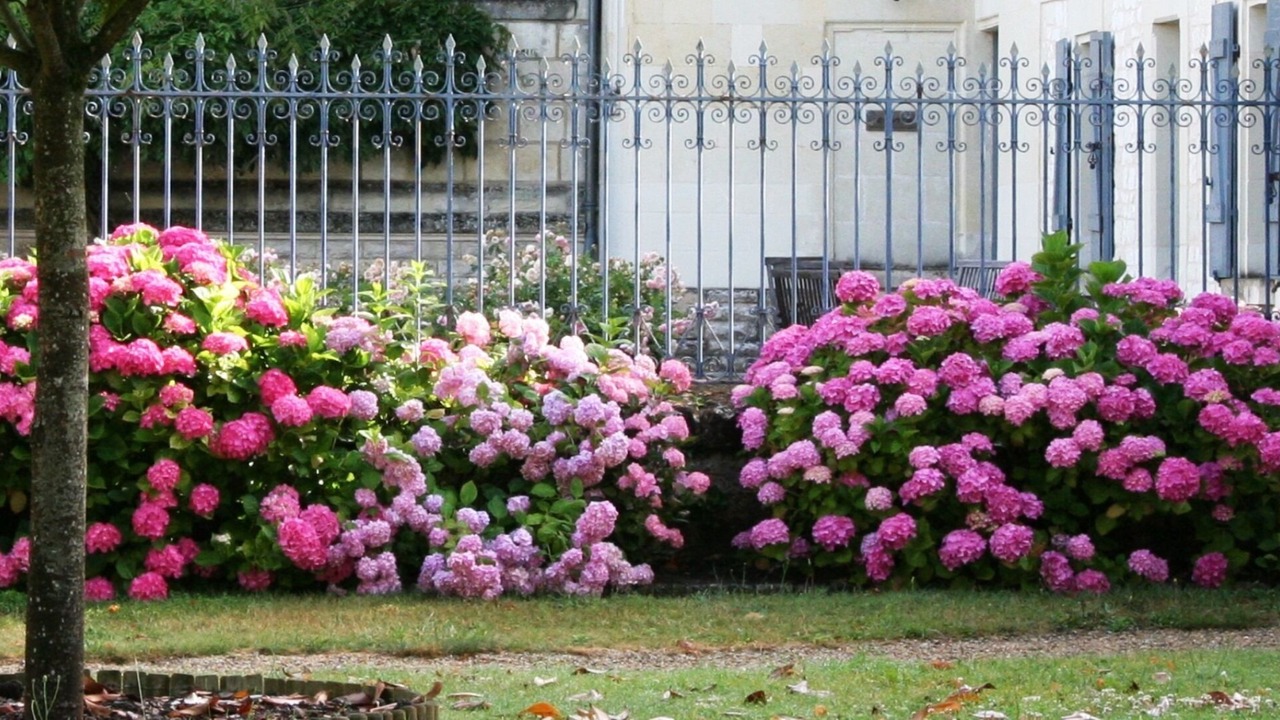 Photo of Outdoor in Bournand