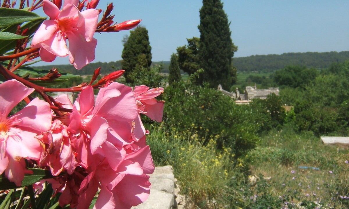Photo of Outdoor in Junas