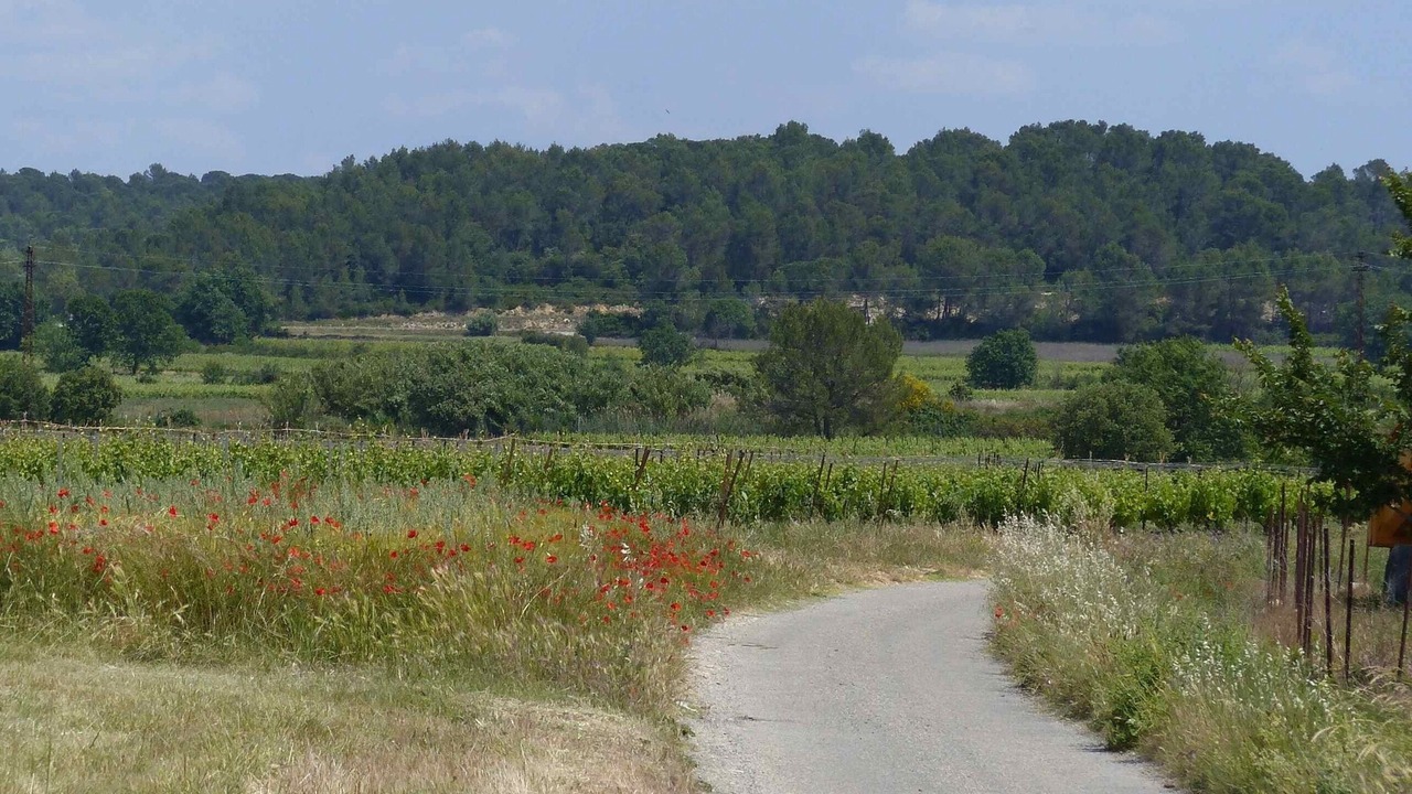 Photo of Outdoor in Junas