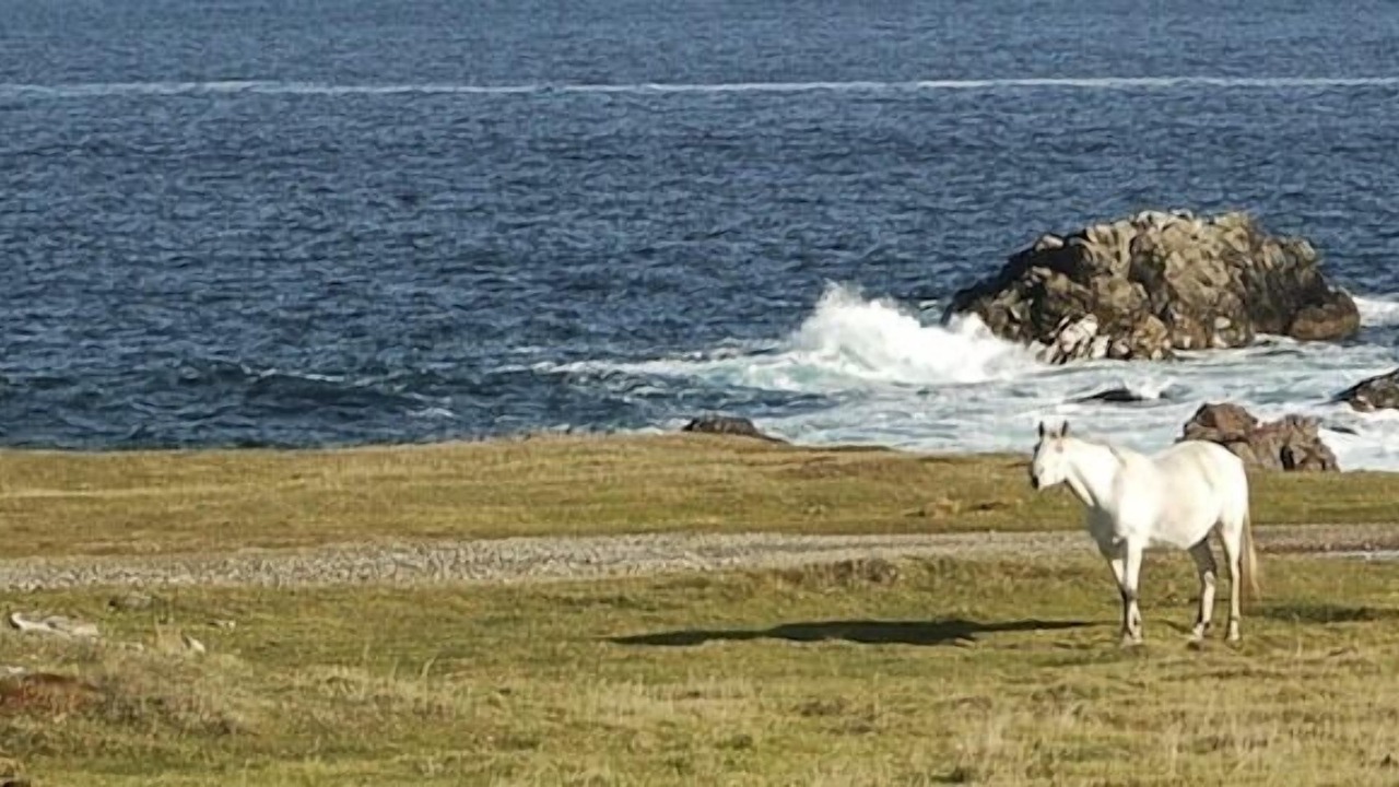 Photo of Others in Elliston