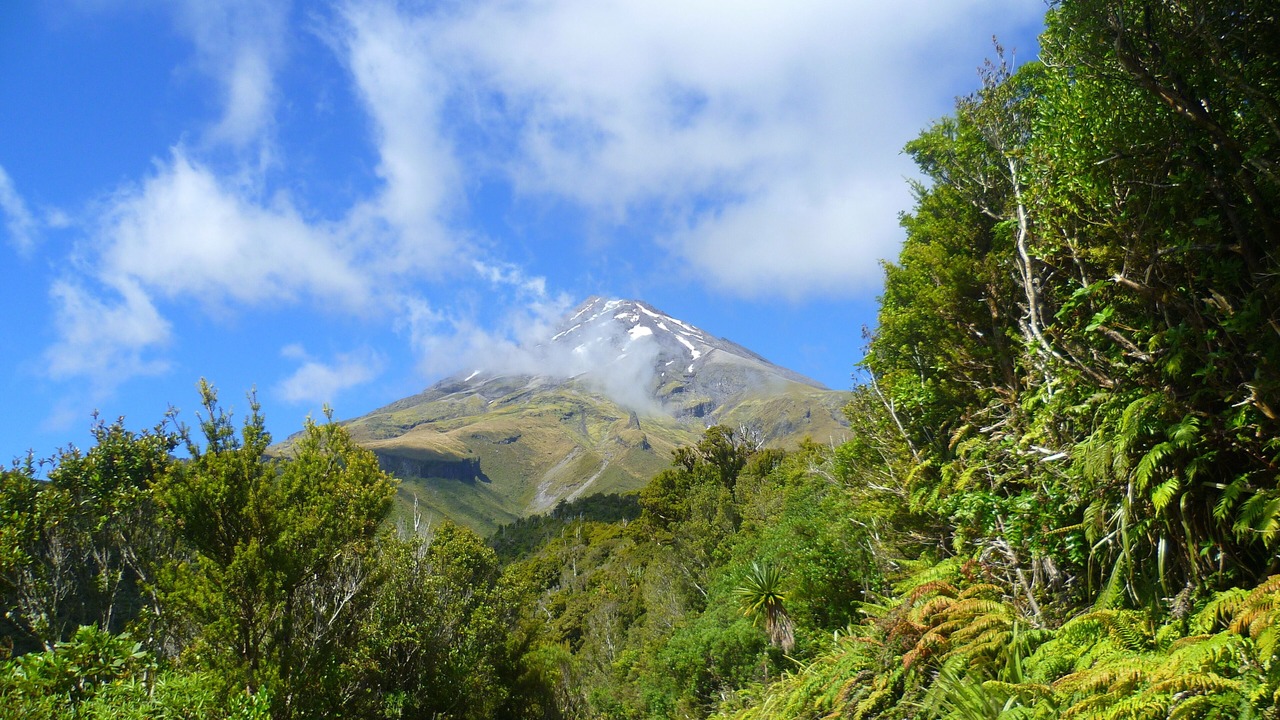 Photo of Outdoor in Roquebilliere