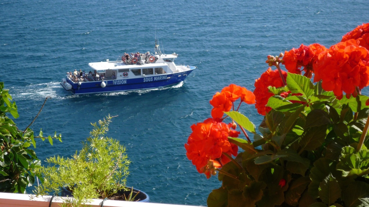 Photo of Others in Collioure
