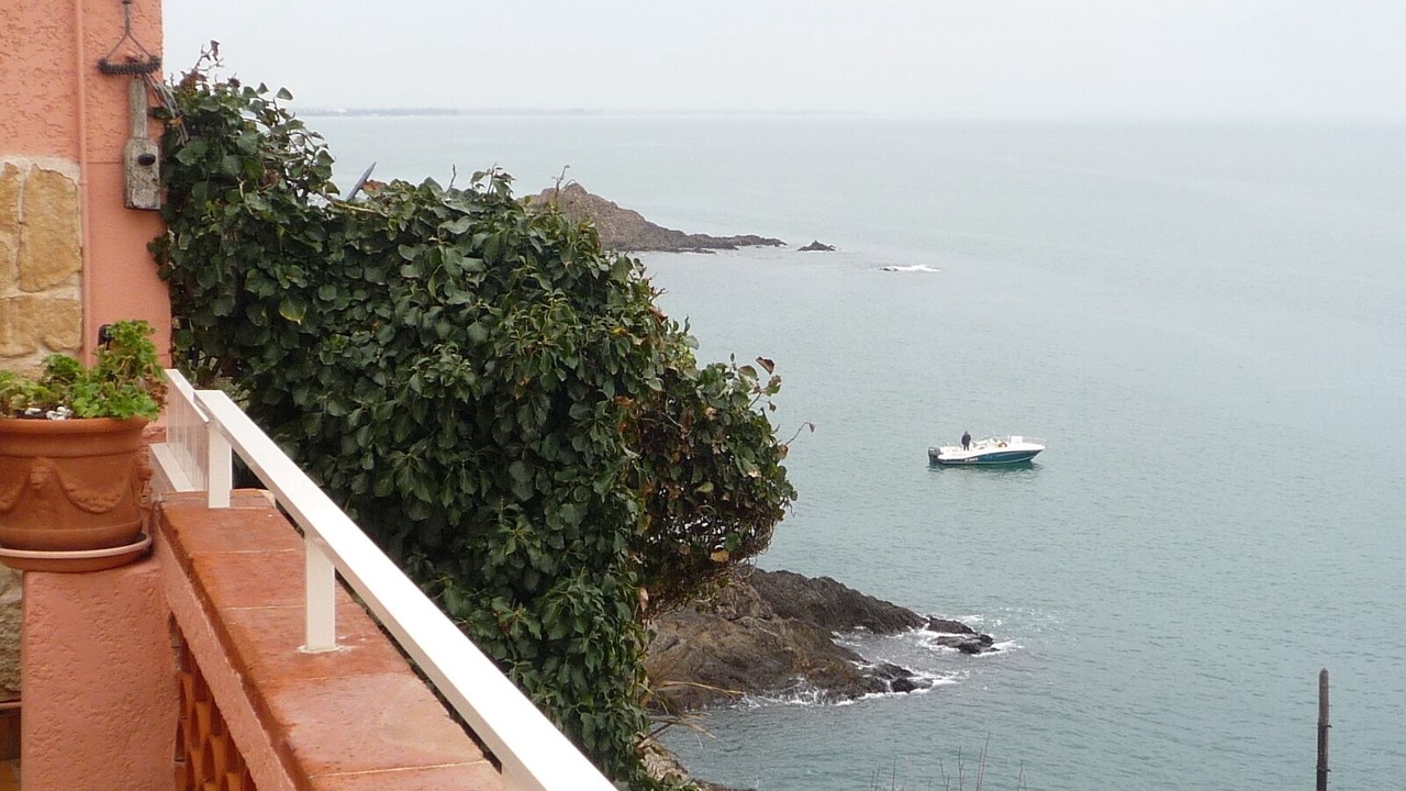 Photo of Outdoor in Collioure