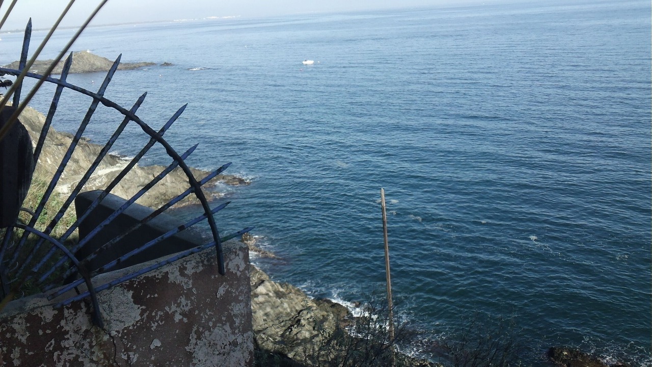 Photo of Others in Collioure