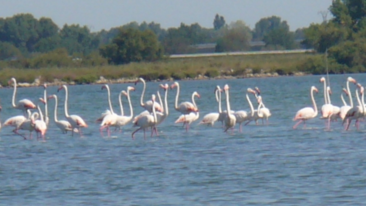 Photo of Others in Baillargues