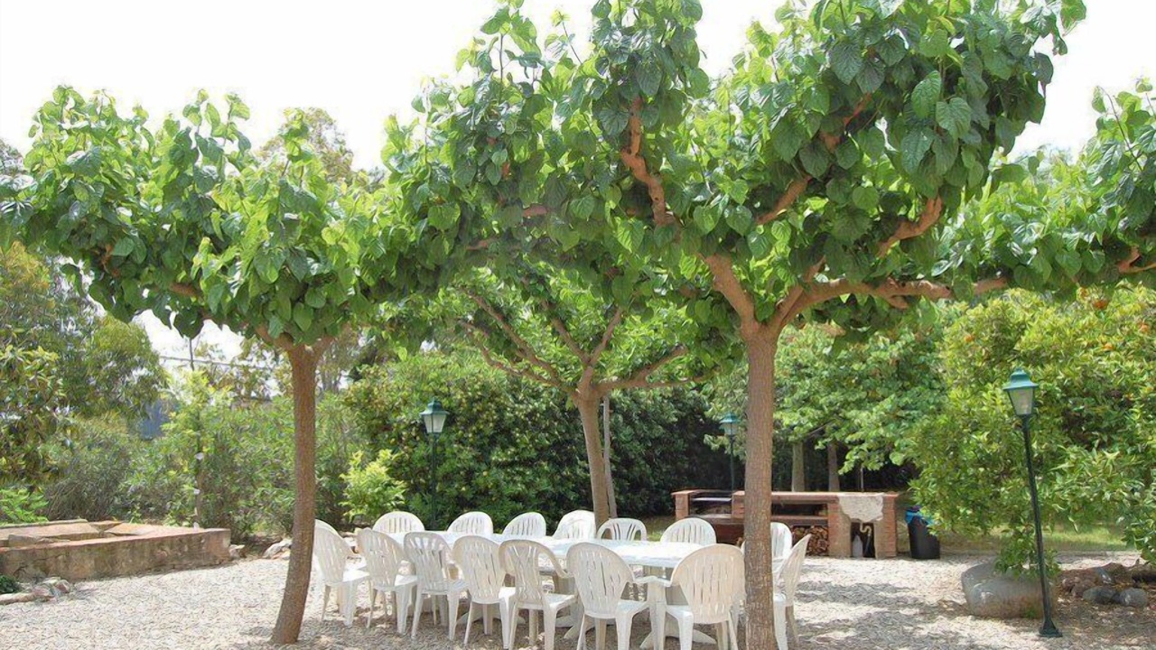 Photo of Outdoor in Les Borges del Camp
