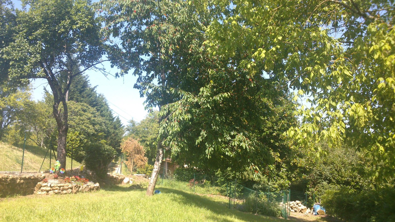 Photo of Outdoor in Tursac