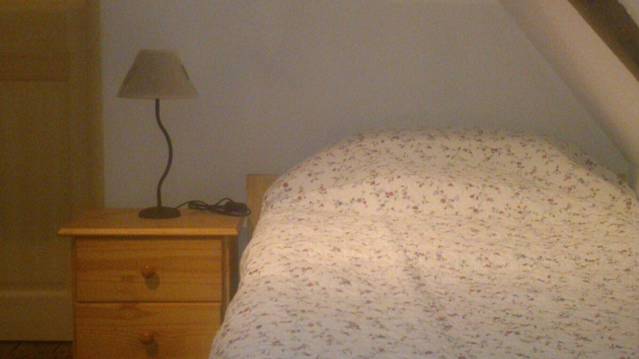 Photo of Bedroom in Tursac