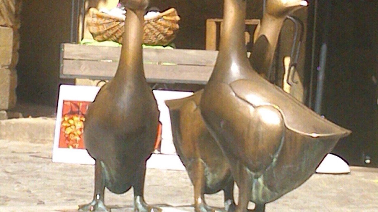 Photo of Others in Tursac