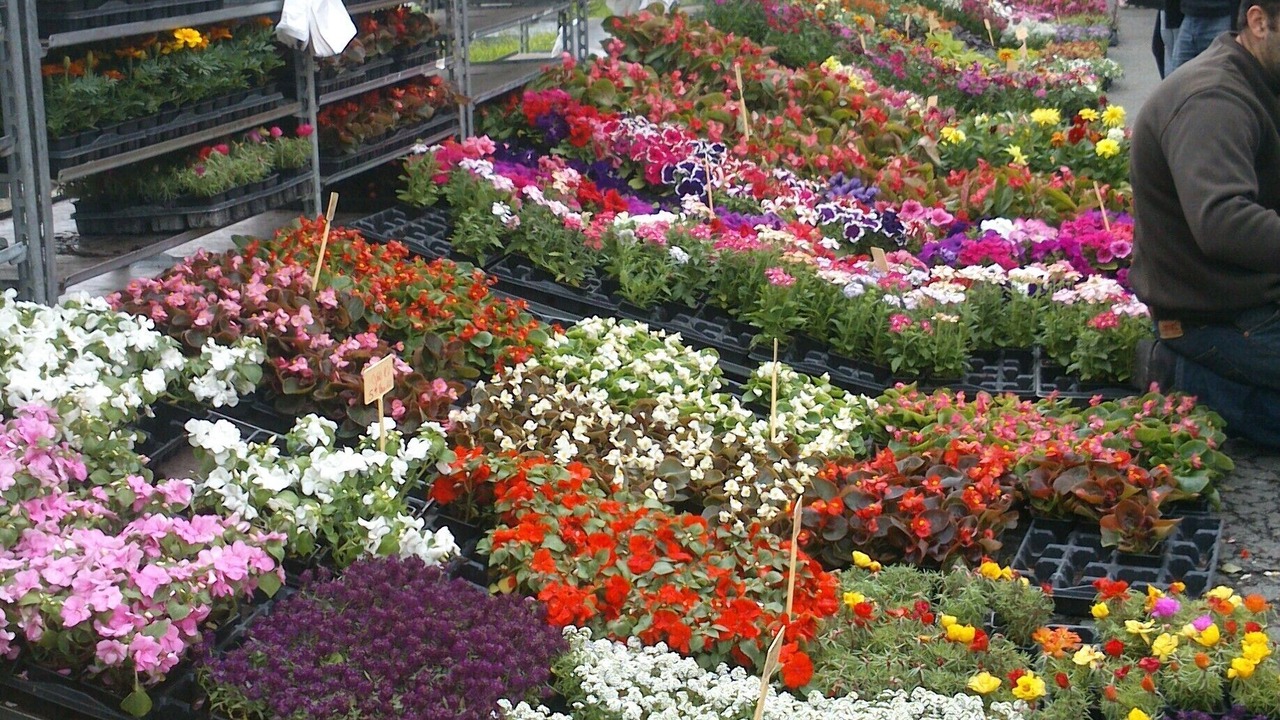 Photo of Outdoor in Tursac