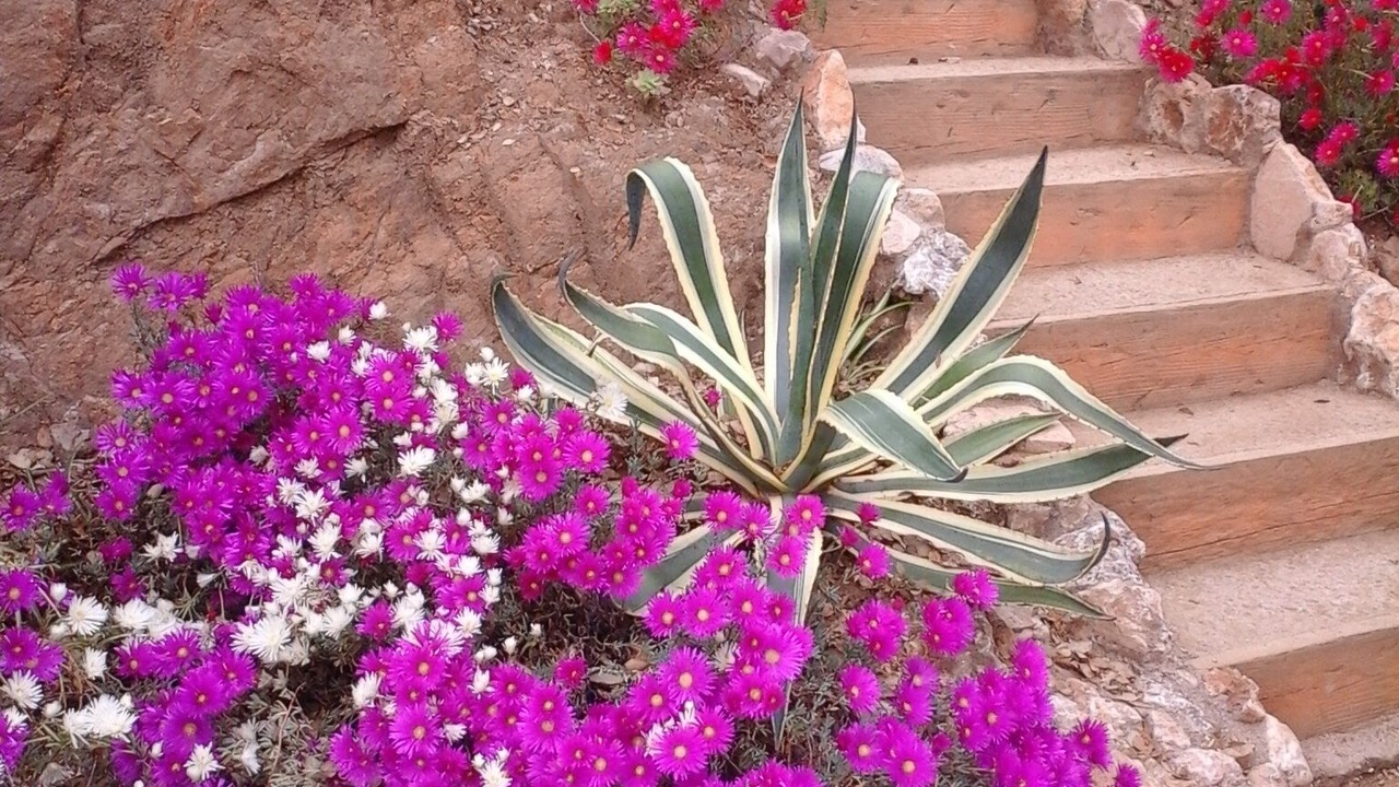 Photo of Outdoor in Le Muy