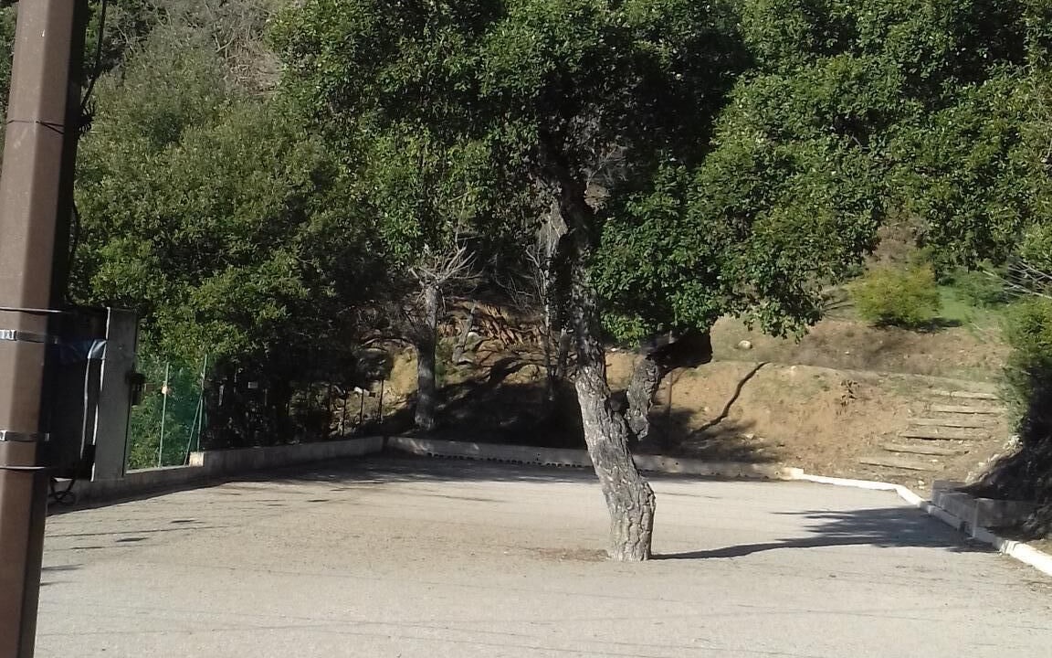 Photo of Outdoor in Le Muy