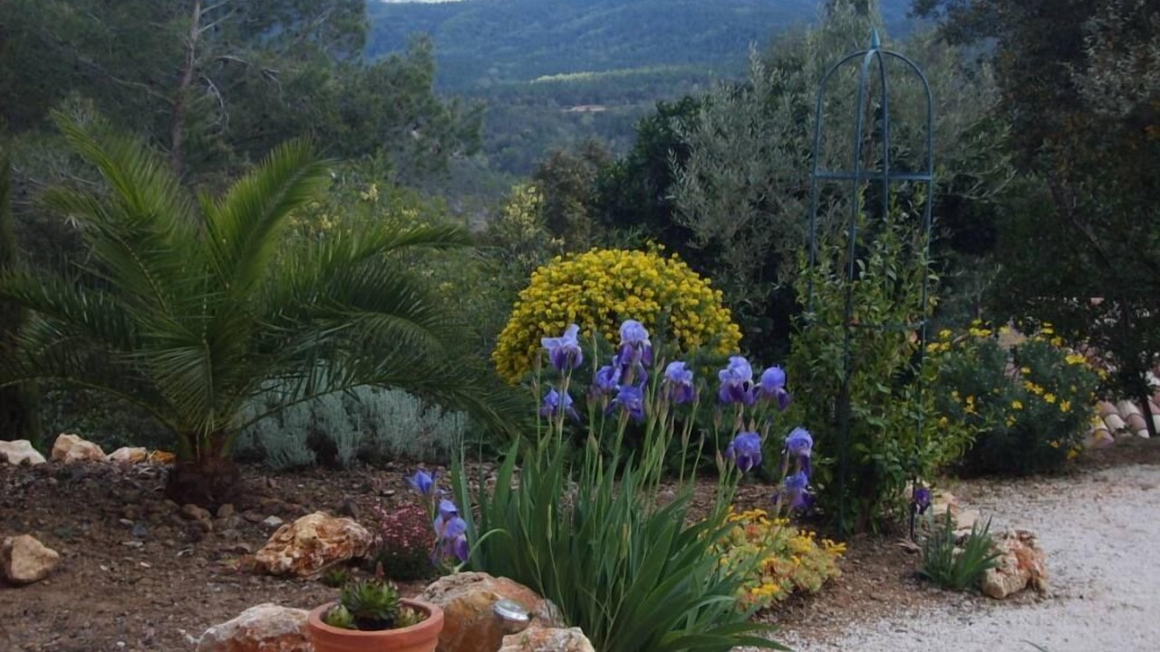 Photo of Outdoor in Le Muy
