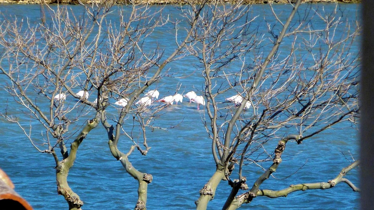 Photo of Others in Peyriac-de-Mer