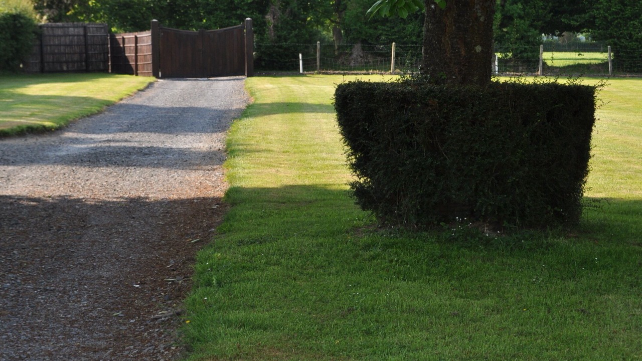 Photo of Outdoor in Beuzeville