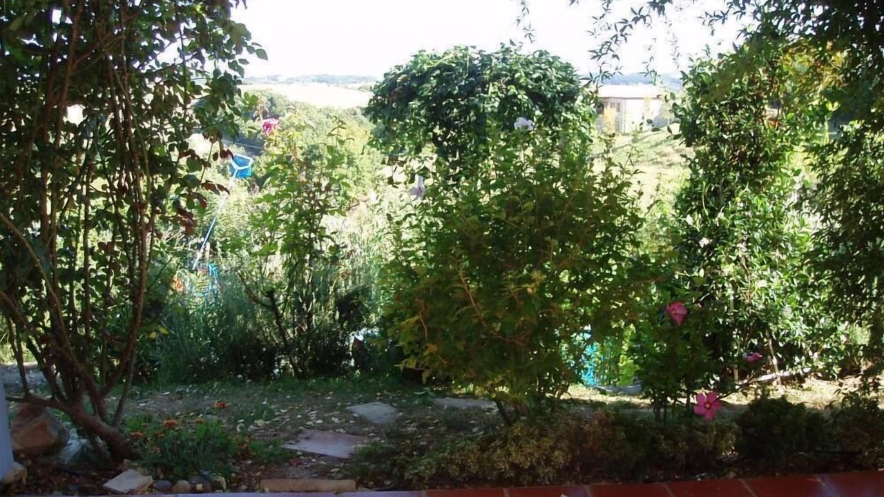 Photo of Patio Balcony in Haulies