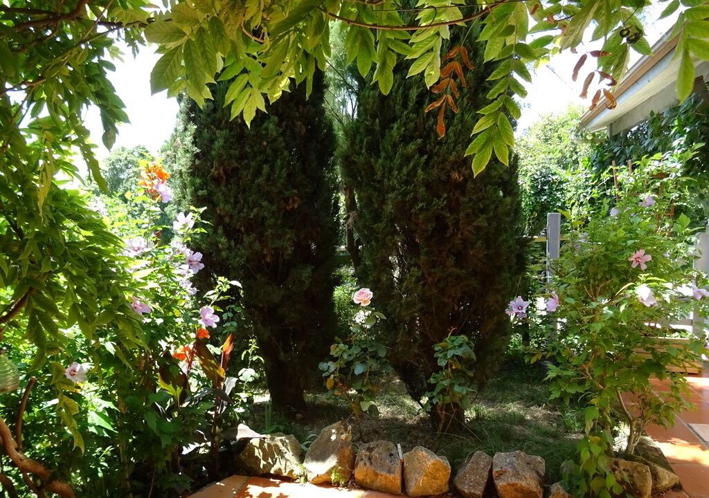 Photo of Outdoor in Haulies