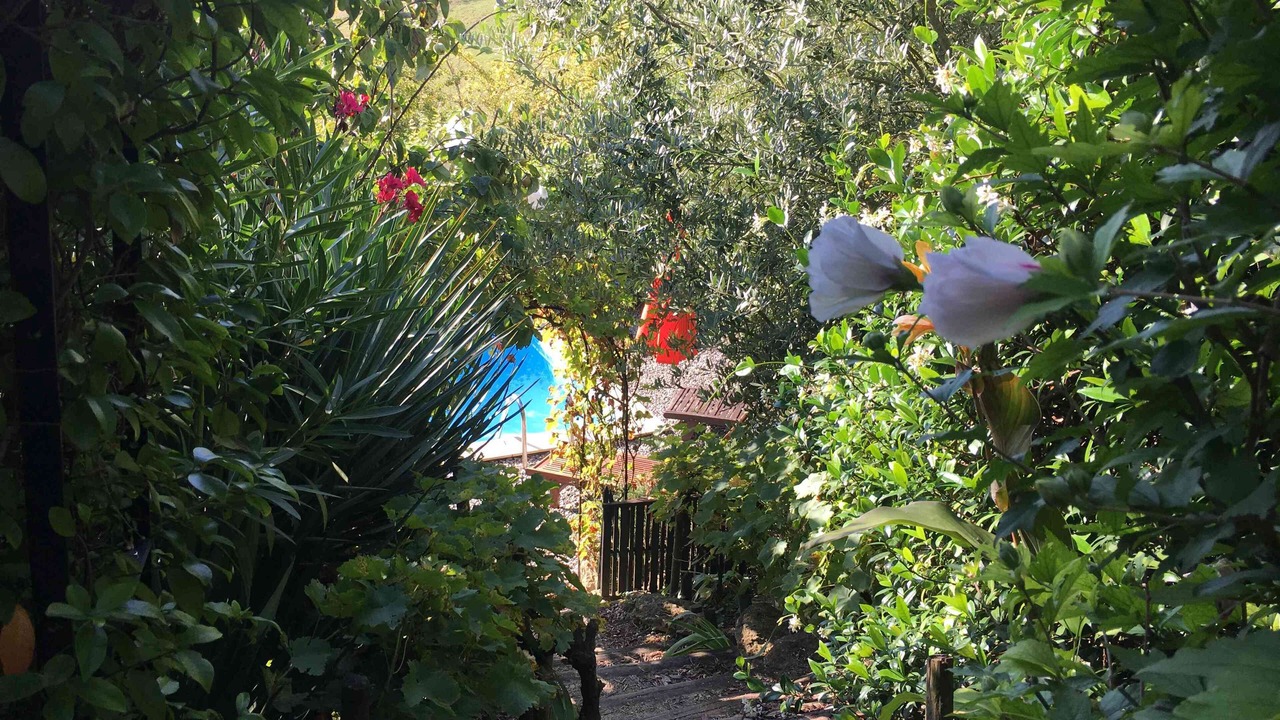 Photo of Outdoor in Haulies