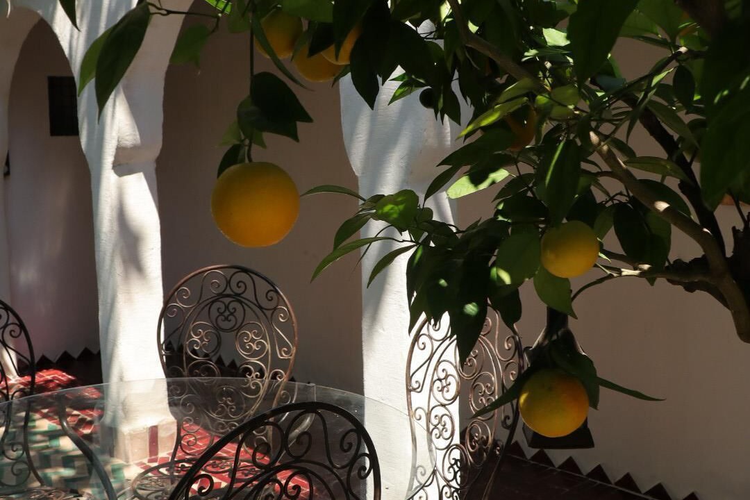 Photo of Outdoor in Le Muy