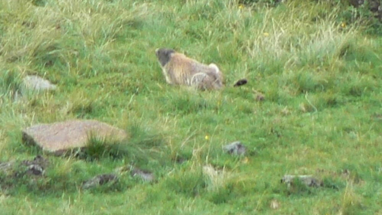 Photo of Outdoor in Cheylade