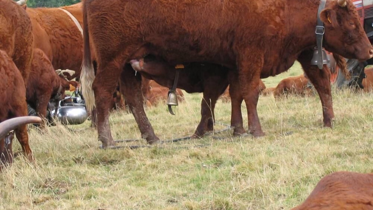 Photo of Outdoor in Cheylade