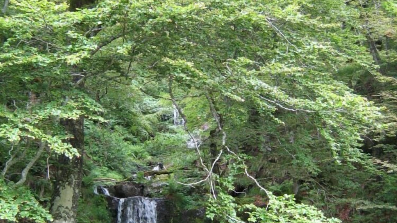 Photo of Outdoor in Cheylade