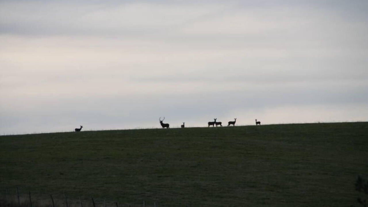 Photo of Outdoor in Cheylade