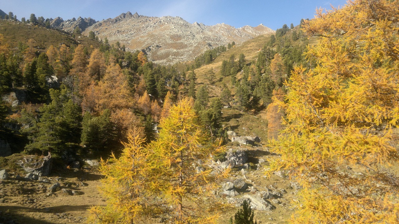 Photo of Outdoor in Noveli