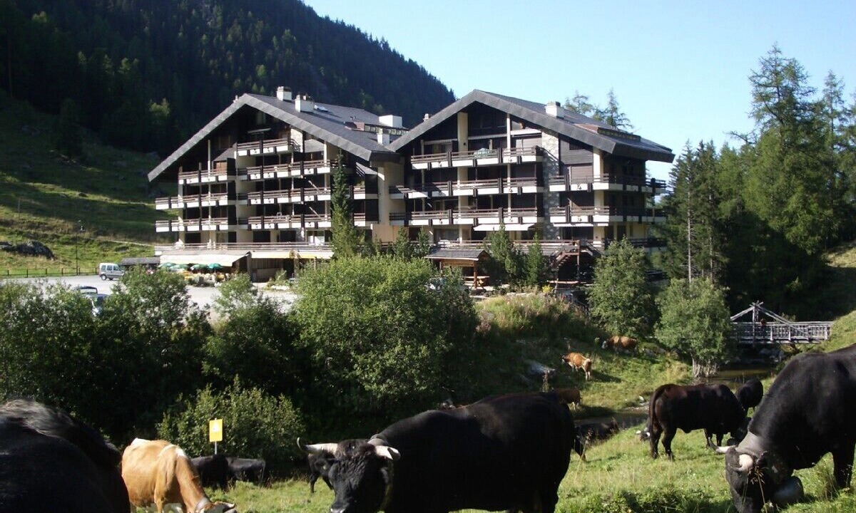 Photo of Outdoor in Noveli