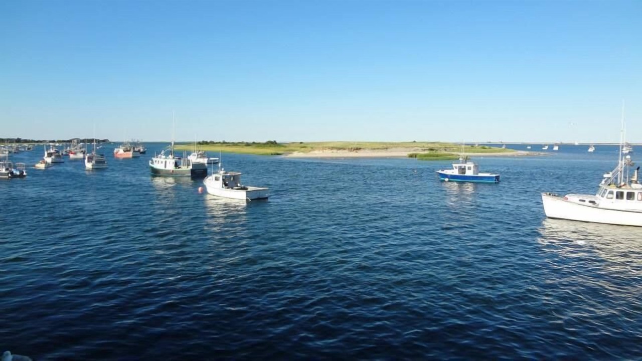 Photo of Others in West Chatham