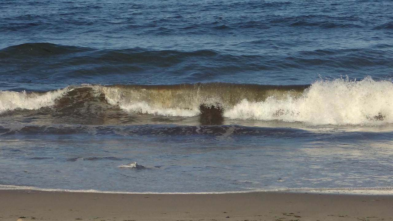 Photo of Others in West Chatham