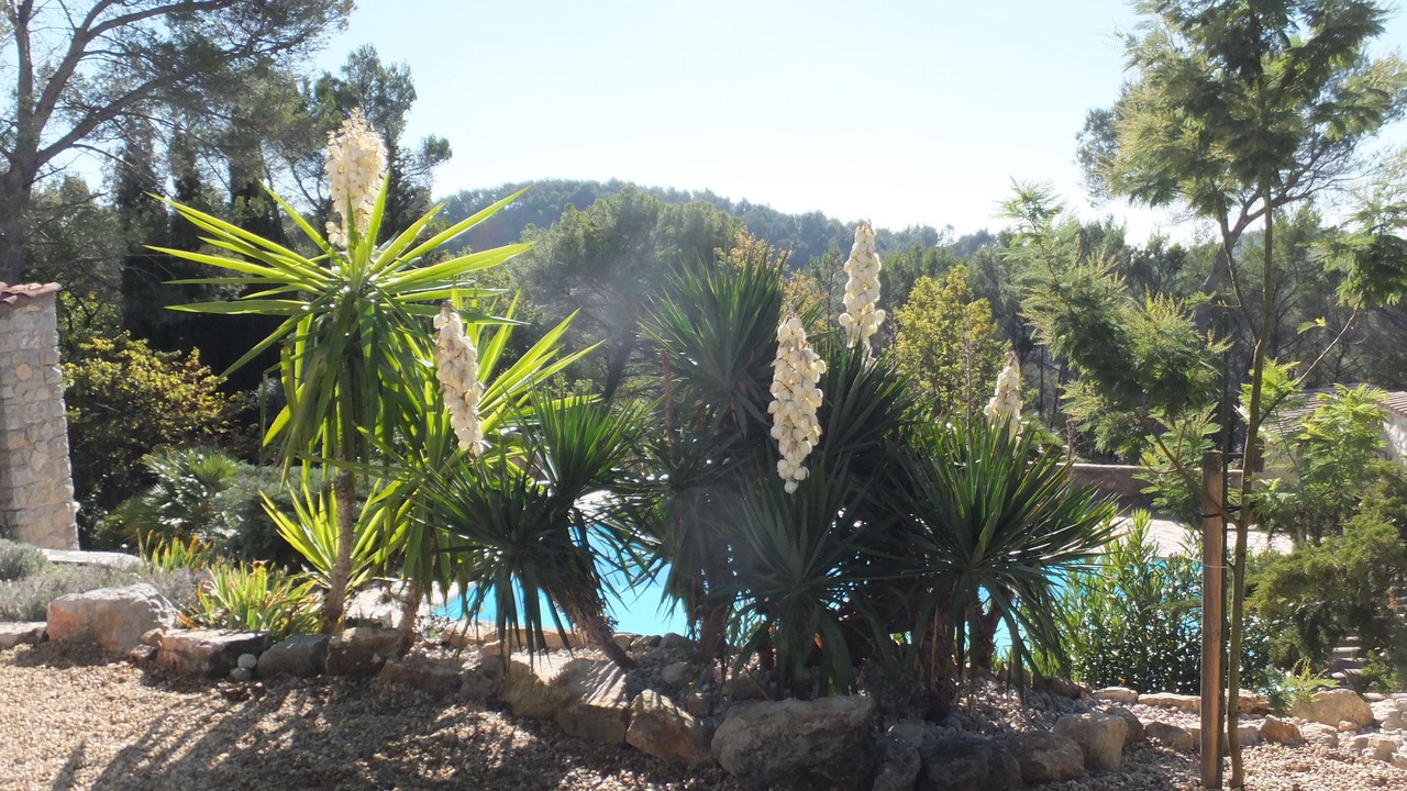 Photo of Outdoor in Seillans