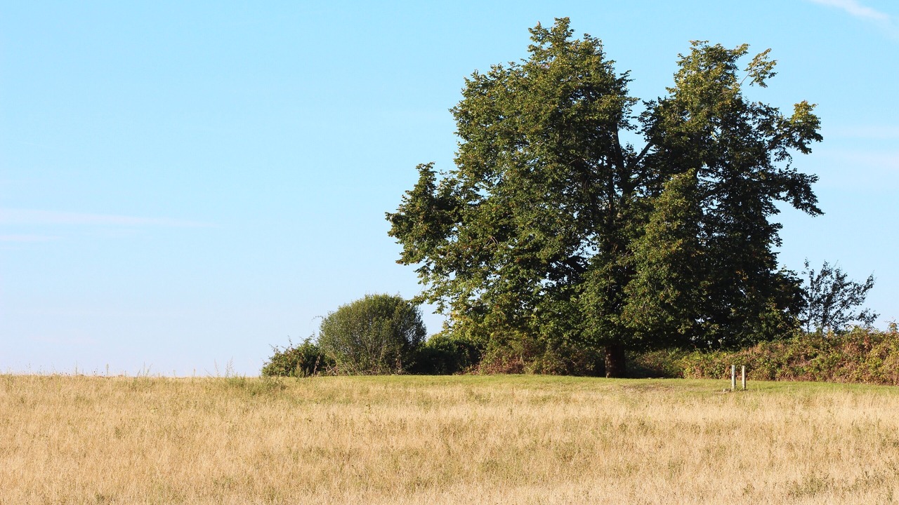 Photo of Outdoor in Cazes-Mondenard