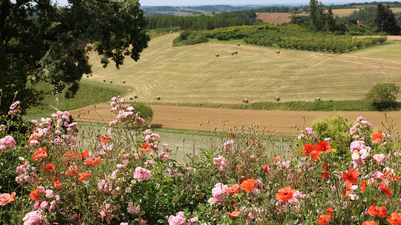 Photo of Outdoor in Cazes-Mondenard
