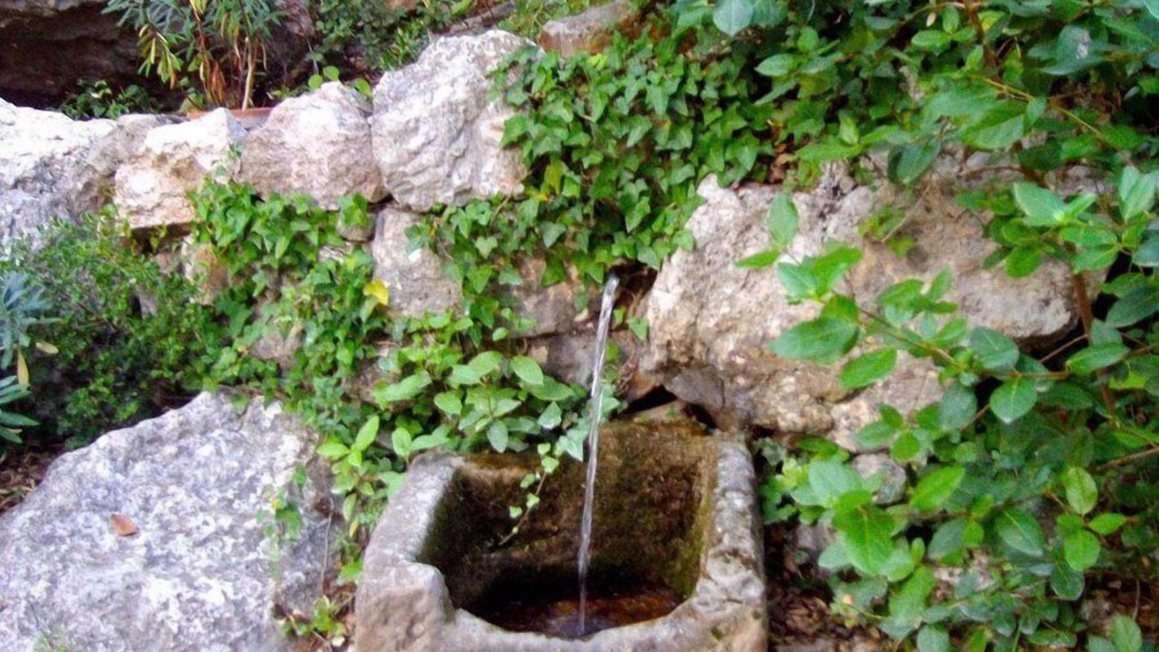 Photo of Others in Horta de Sant Joan