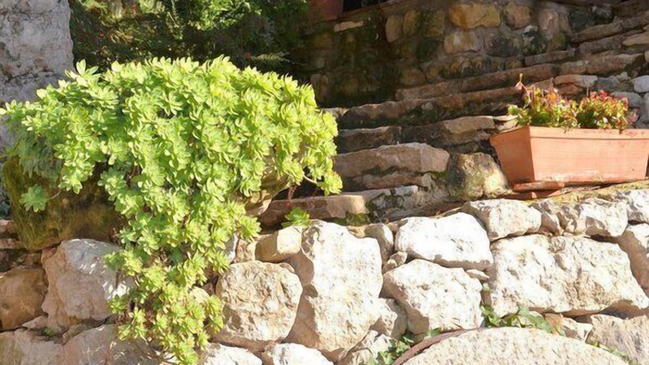 Photo of Others in Horta de Sant Joan