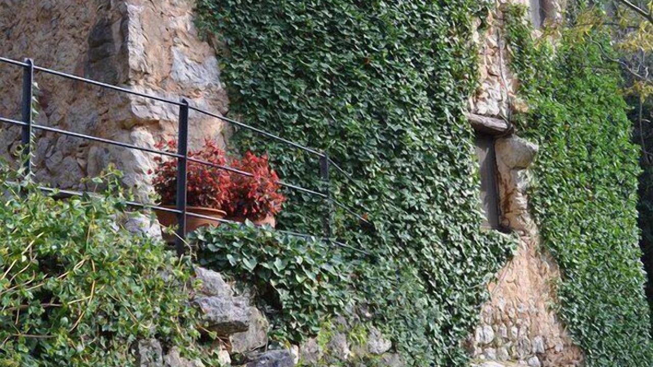 Photo of Outdoor in Horta de Sant Joan