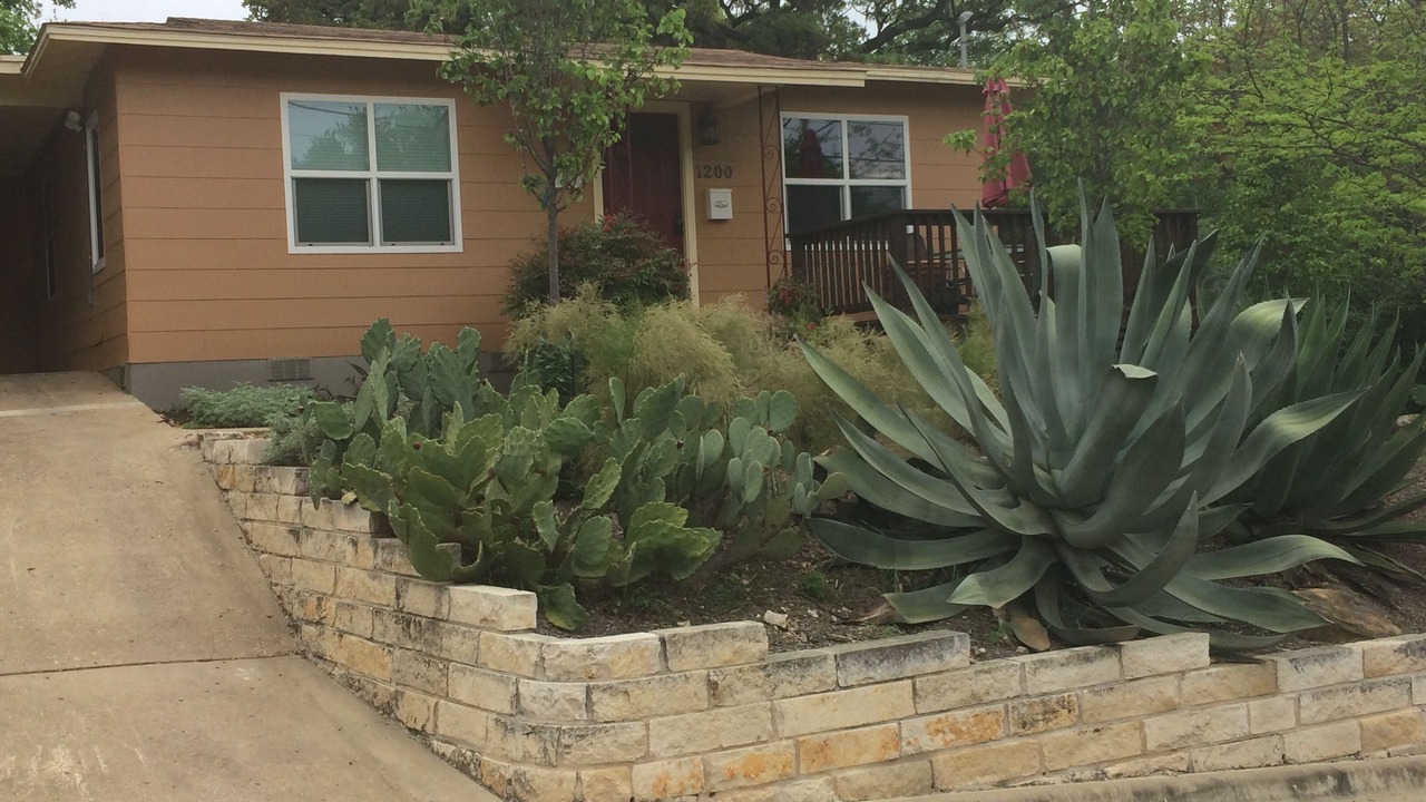 Photo of Outdoor in Bouldin