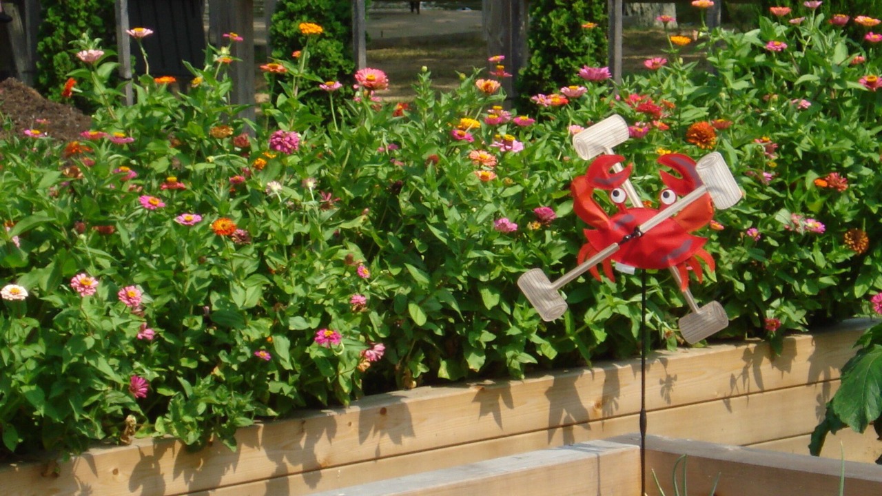 Photo of Outdoor in Queenstown