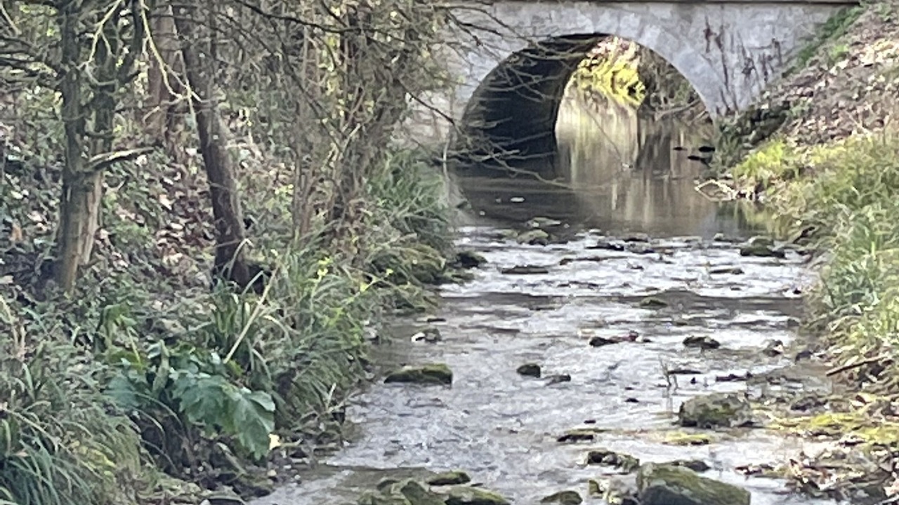 Photo of Others in Issigeac