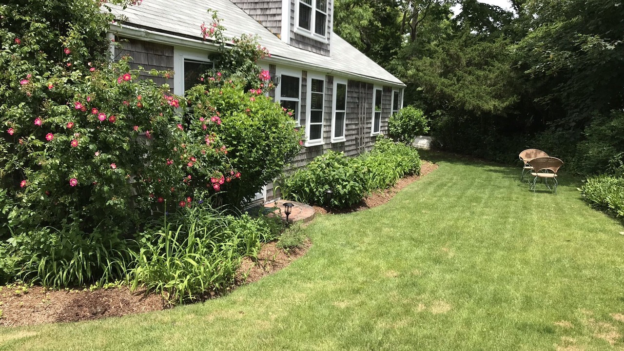 Photo of Others in Monomoy