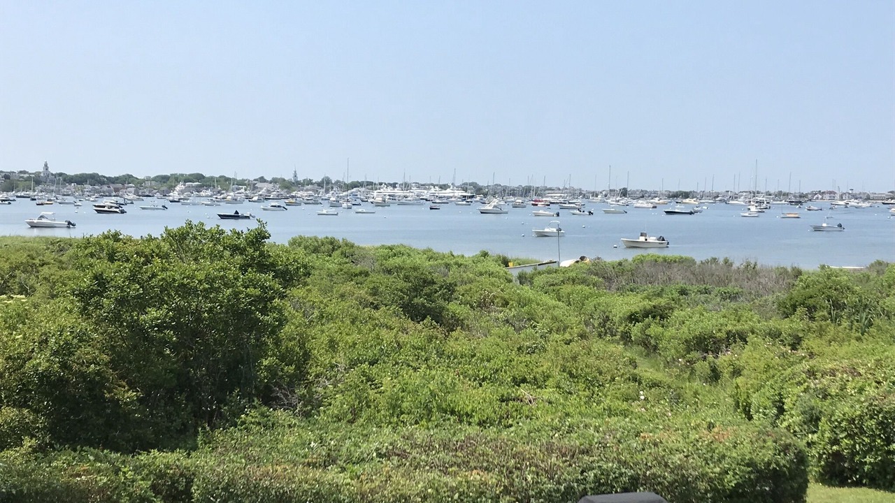 Photo of Others in Monomoy