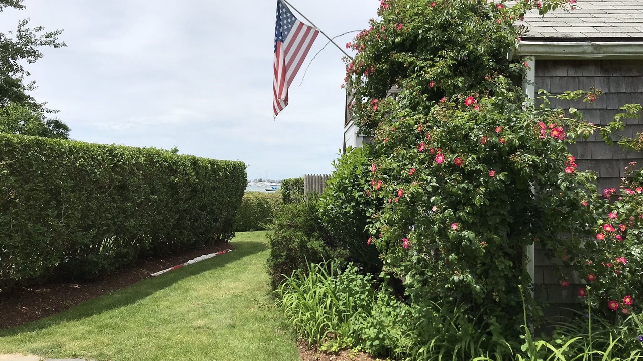 Photo of Others in Monomoy