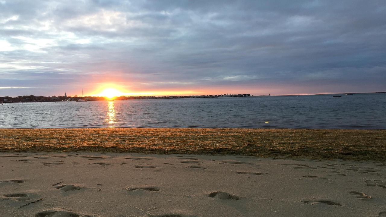 Photo of Others in Monomoy