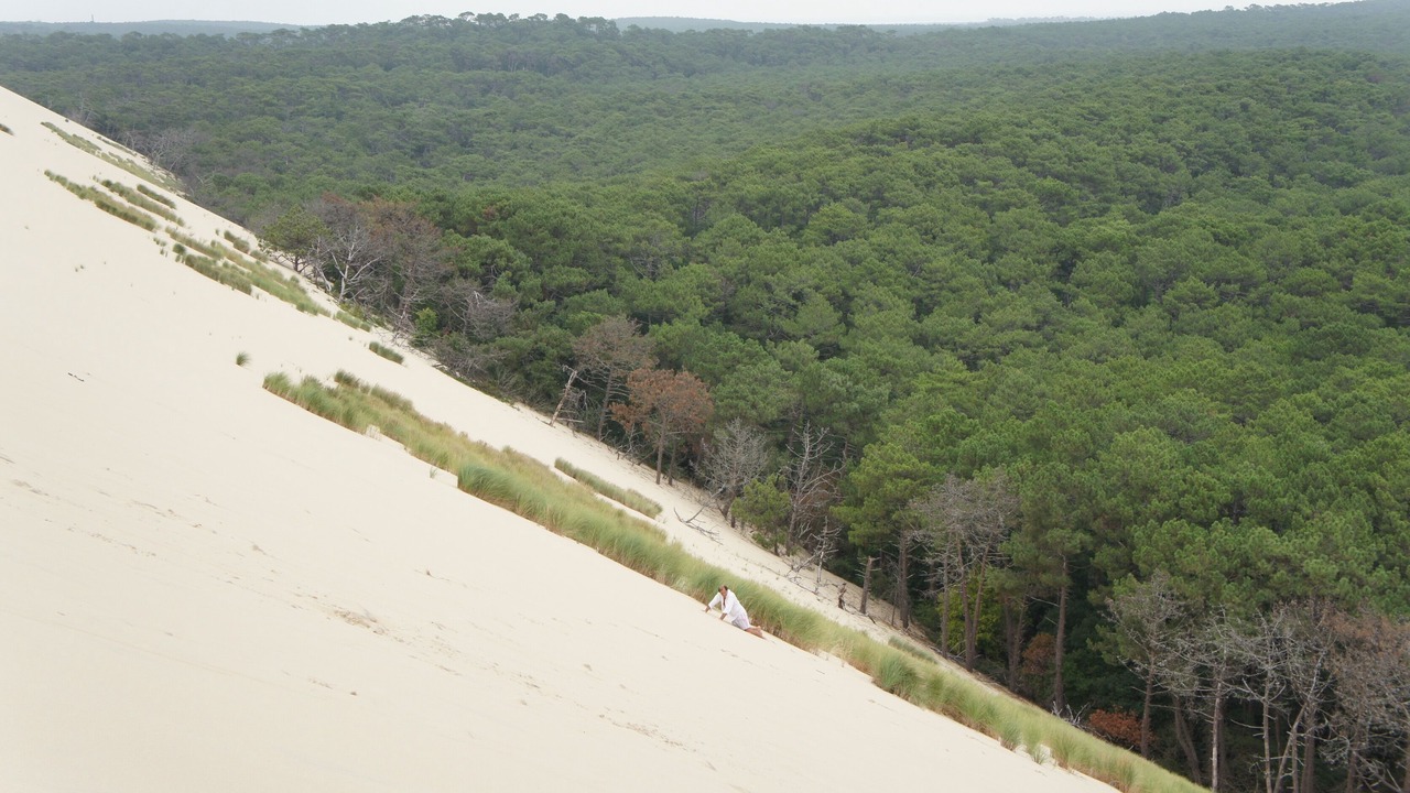 Photo of Others in Sanguinet