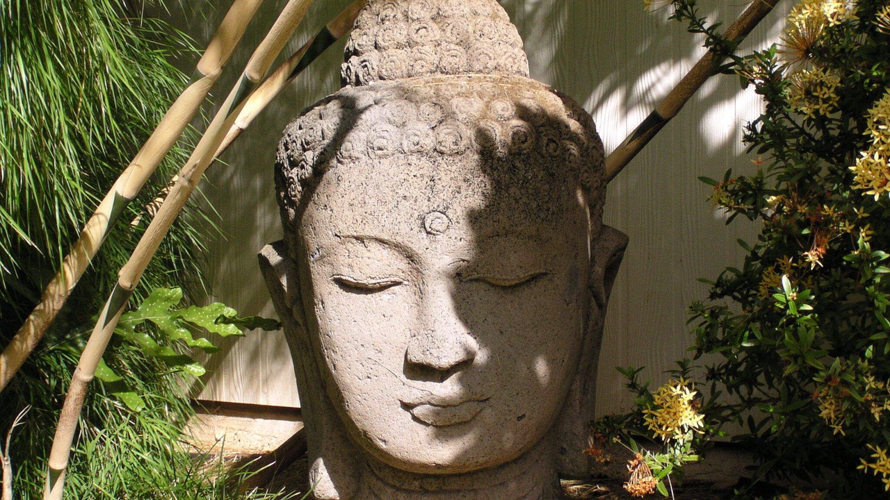 Photo of Others in Pauwela