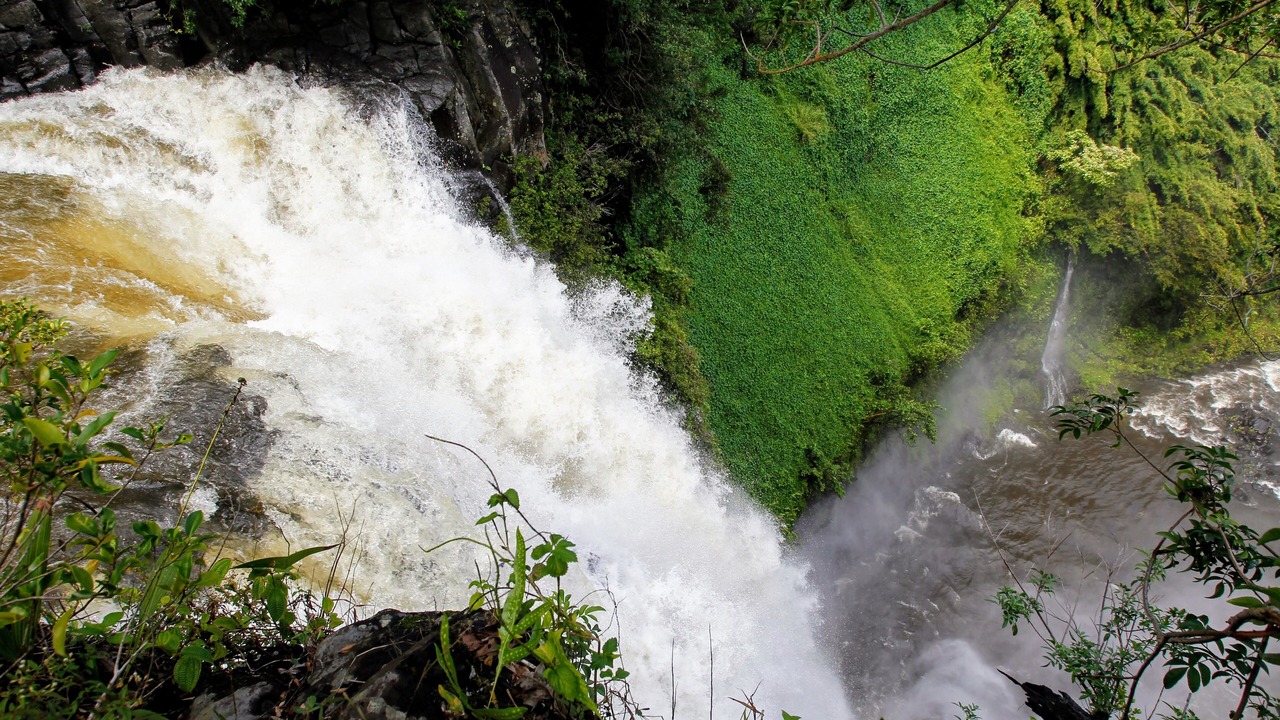 Photo of Others in Pauwela